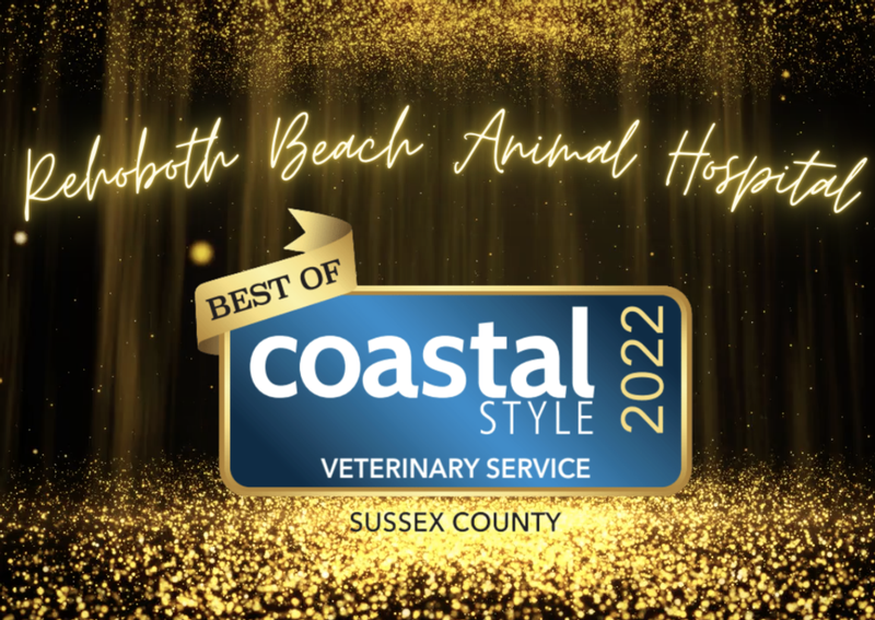 Rehoboth Beach Animal Hospital Veterinarians Dogs, Cats, Pocket Pets
